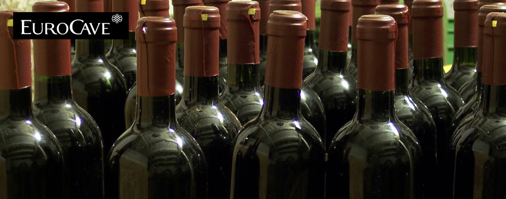 Wine cellar ワインセラー